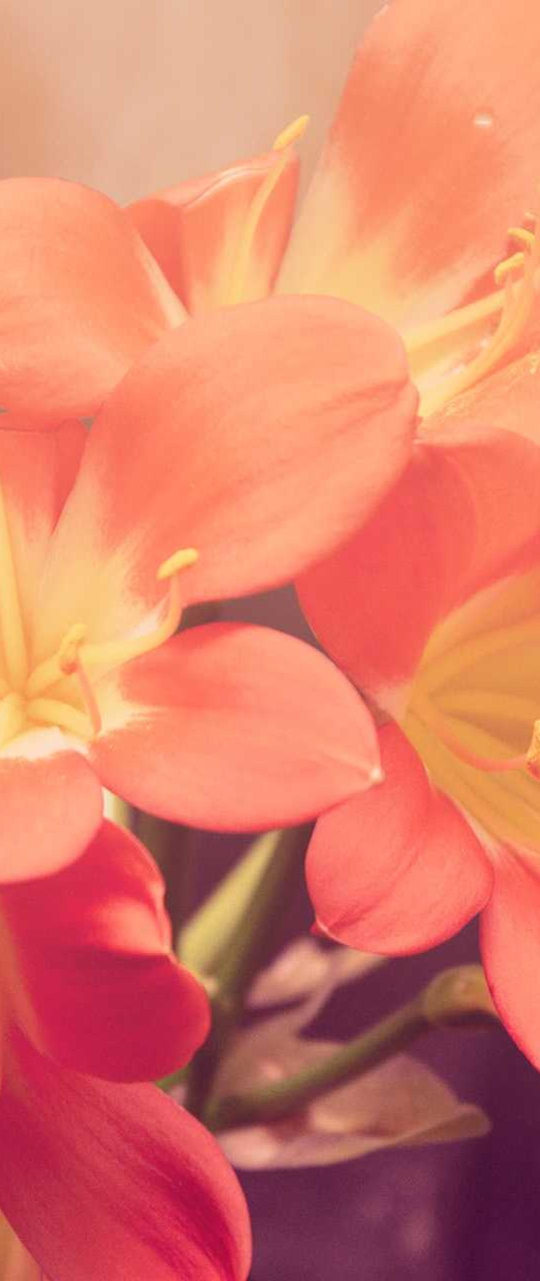 玄学壁纸 - 玄学高清手机壁纸