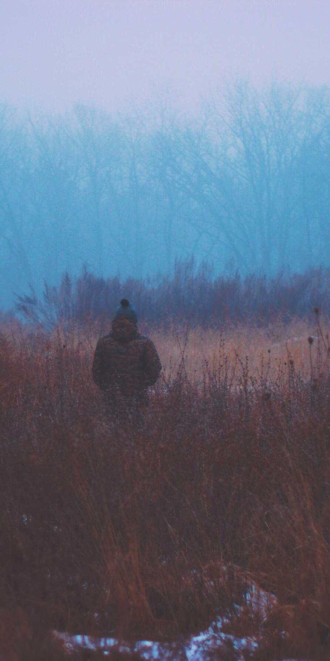 美食壁纸 - 美食高清手机壁纸