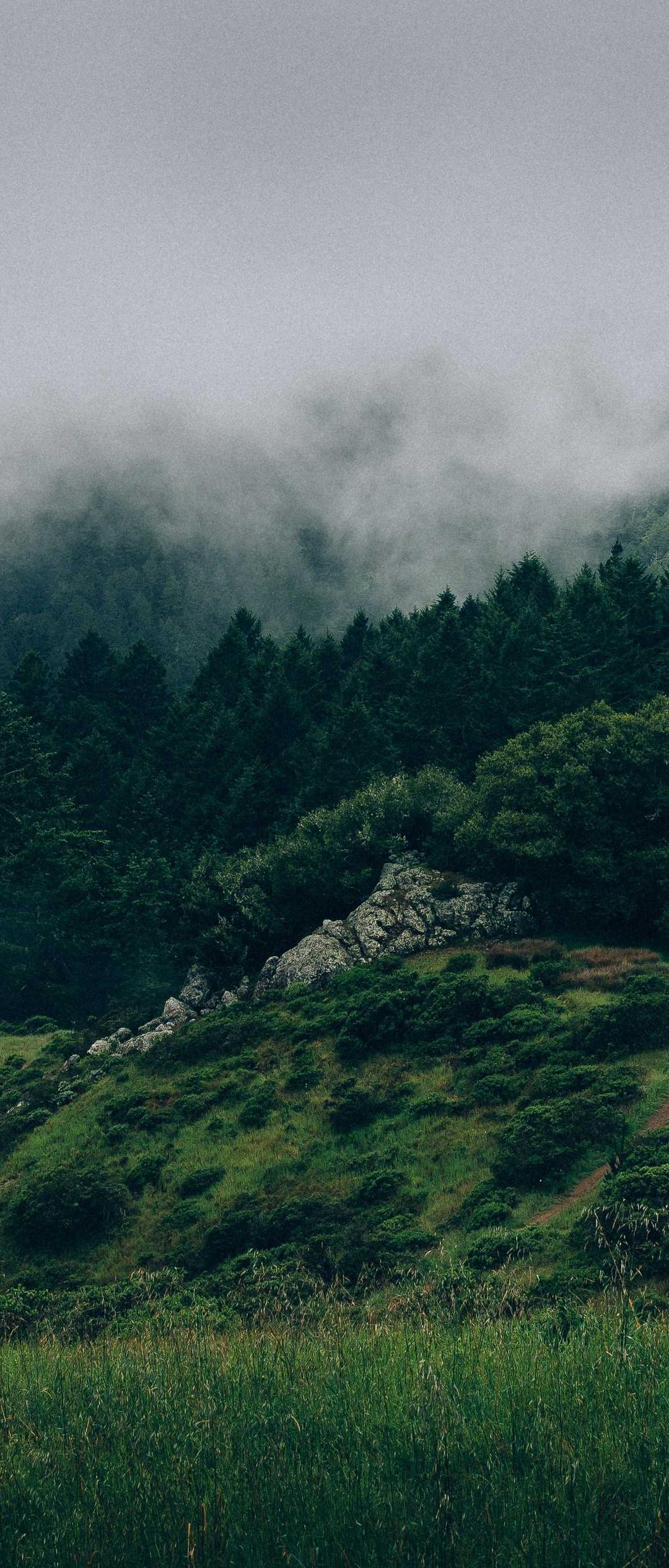 玄学壁纸 - 玄学高清手机壁纸