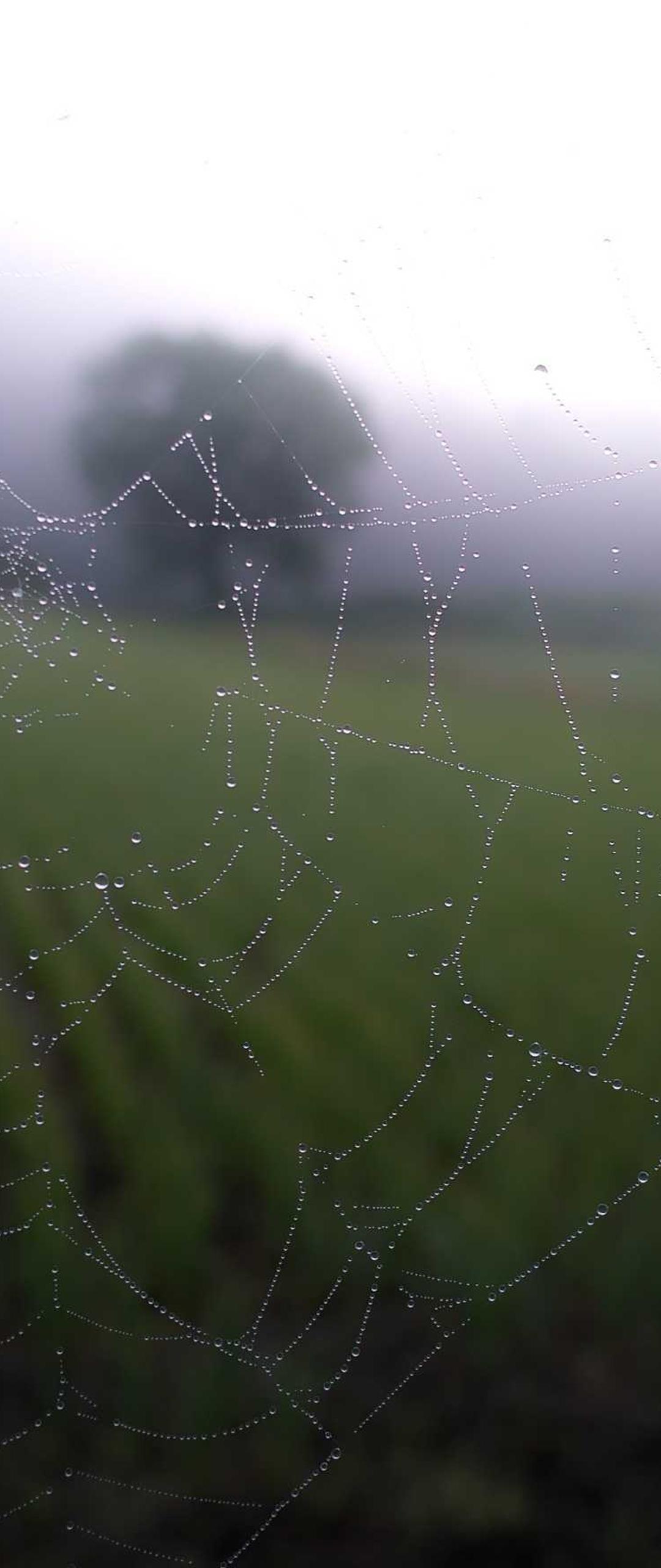 城市壁纸 - 城市高清手机壁纸