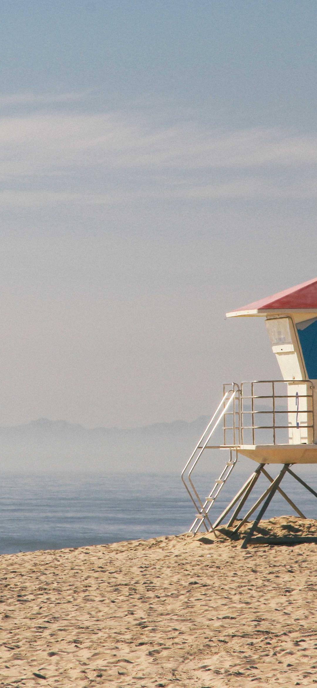 动物壁纸 - 动物高清手机壁纸