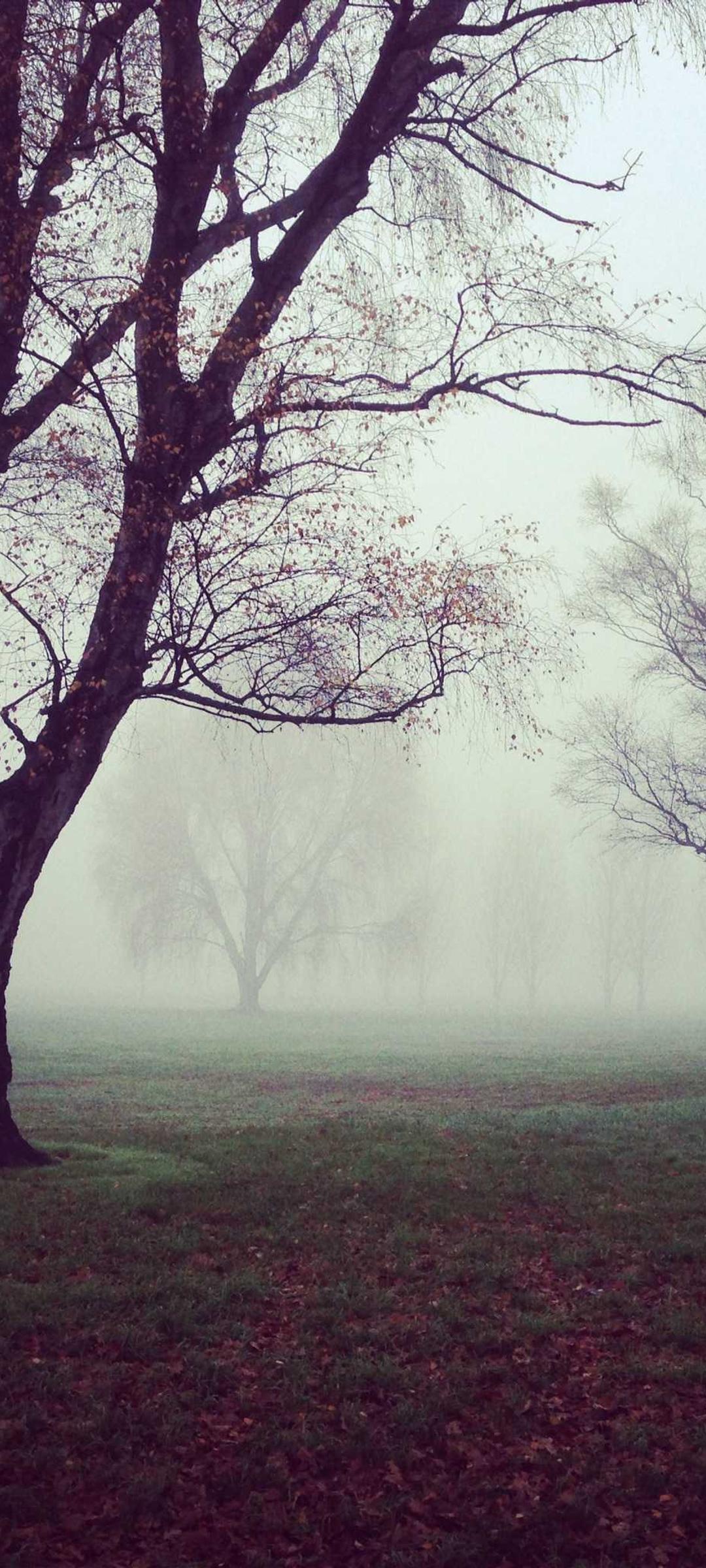 渐变壁纸 - 渐变高清手机壁纸
