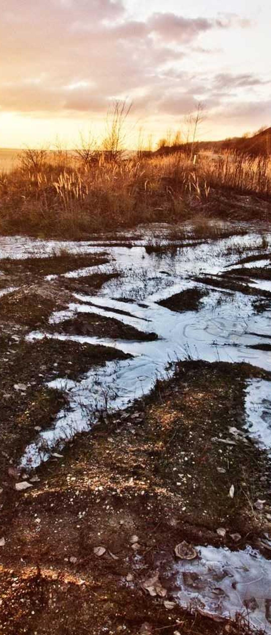 自然壁纸 - 自然高清手机壁纸