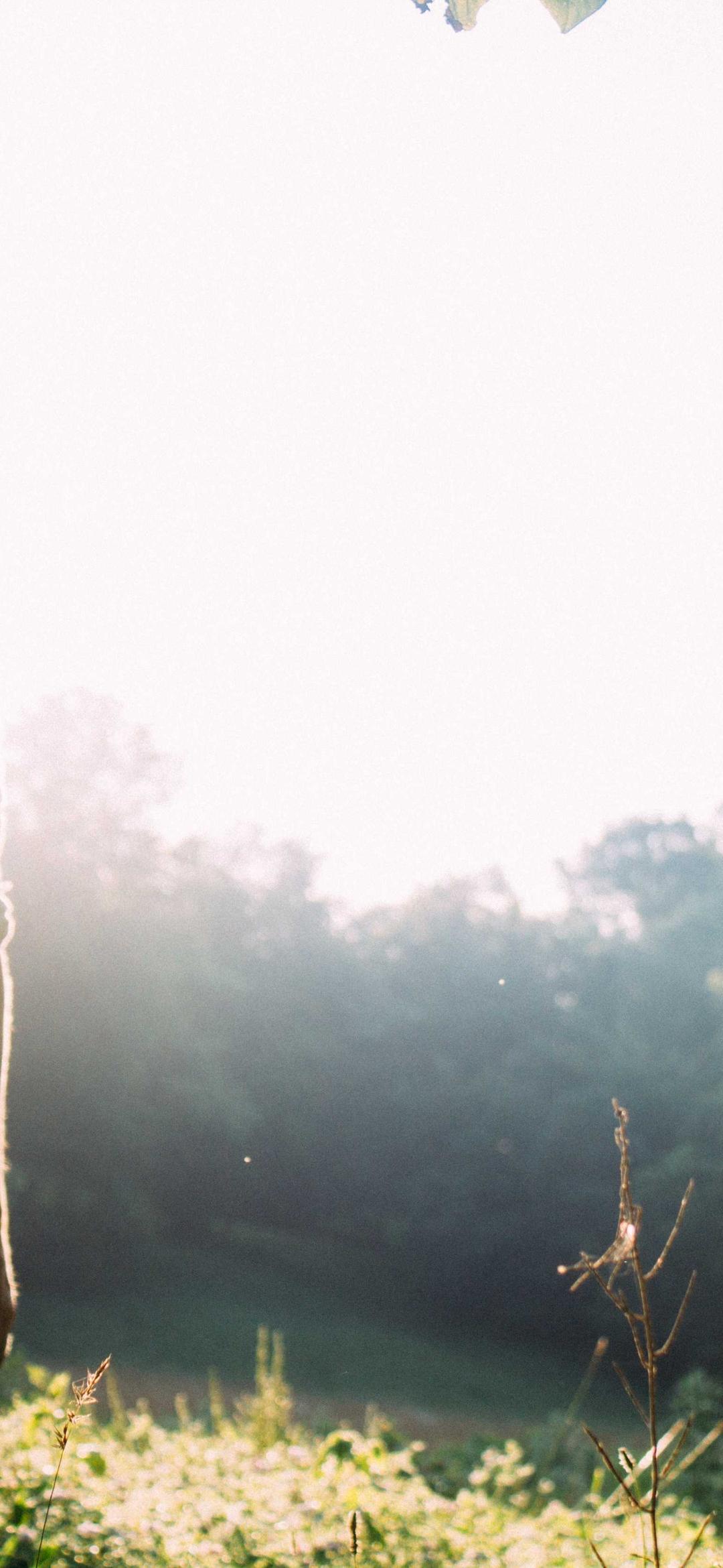 节日壁纸 - 节日高清手机壁纸