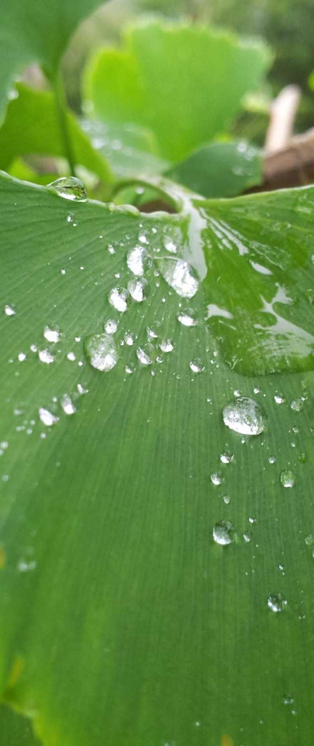极简壁纸 - 极简高清手机壁纸