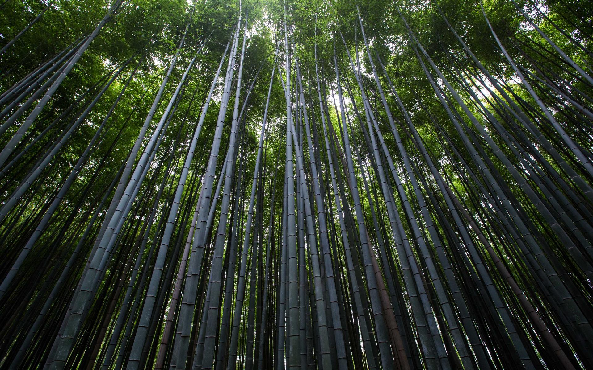 横屏壁纸 - 横屏高清手机壁纸