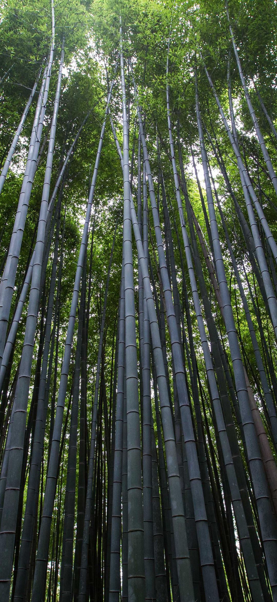 渐变壁纸 - 渐变高清手机壁纸