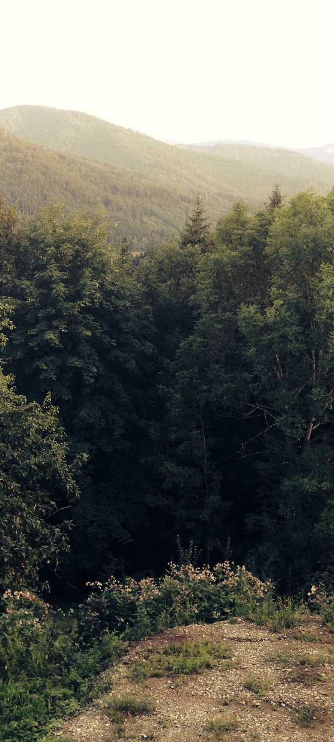 风景壁纸 - 风景高清手机壁纸
