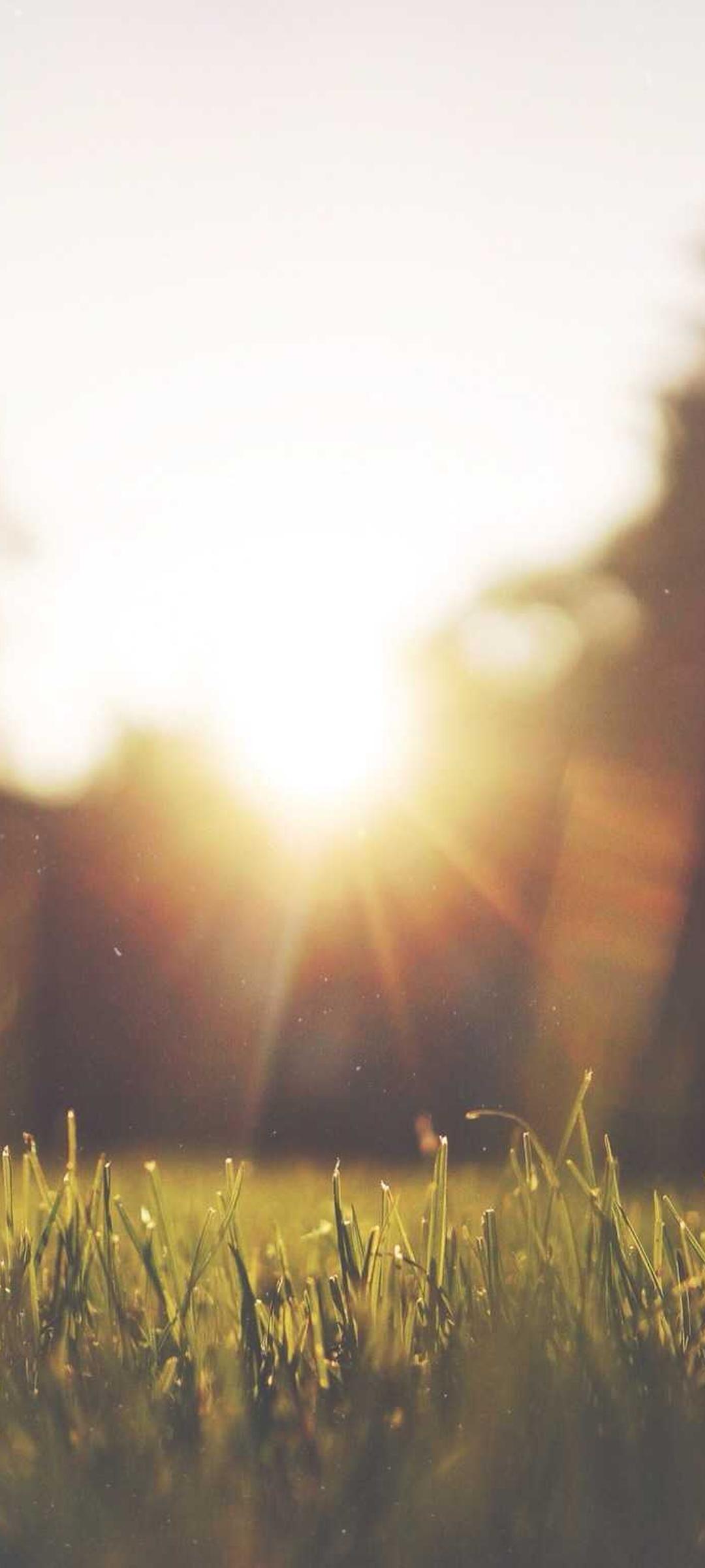 美女壁纸 - 美女高清手机壁纸