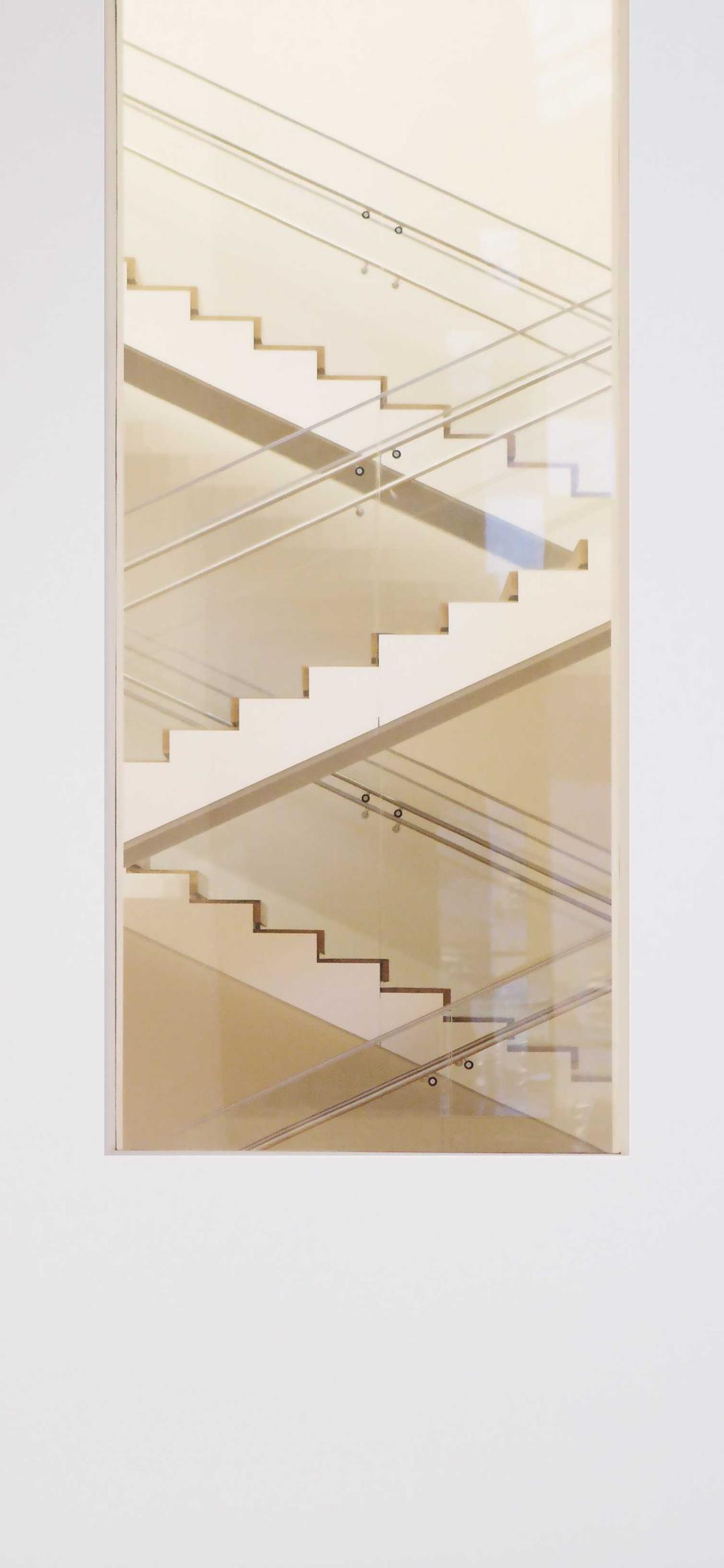 动物壁纸 - 动物高清手机壁纸