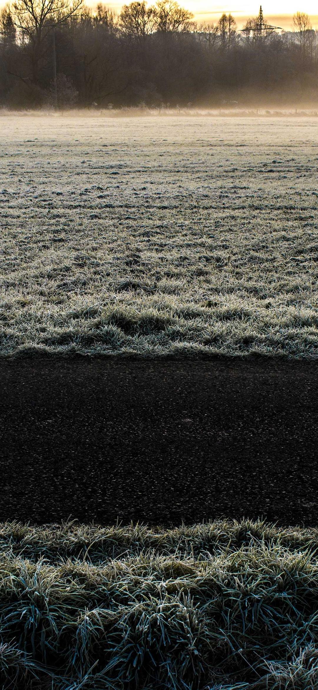动物壁纸 - 动物高清手机壁纸