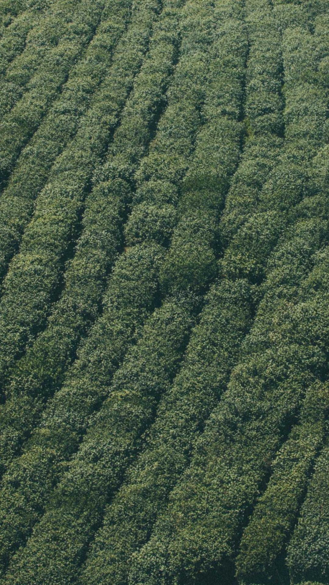 科技壁纸 - 科技高清手机壁纸