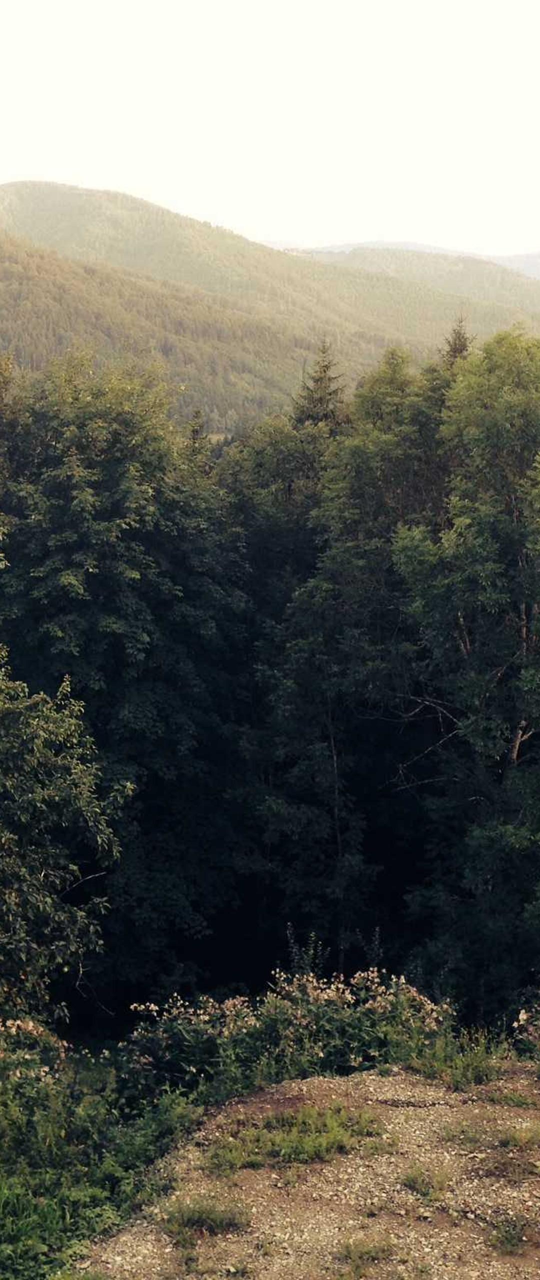 风景壁纸 - 风景高清手机壁纸