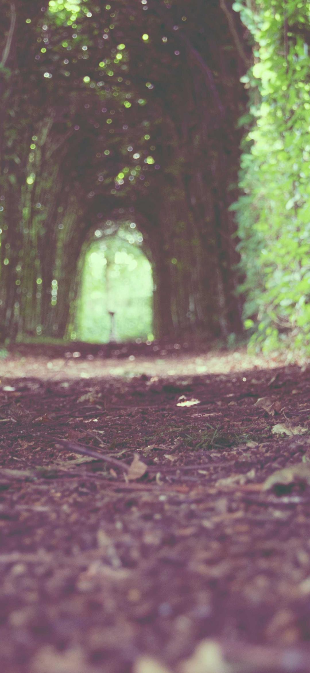 极简壁纸 - 极简高清手机壁纸