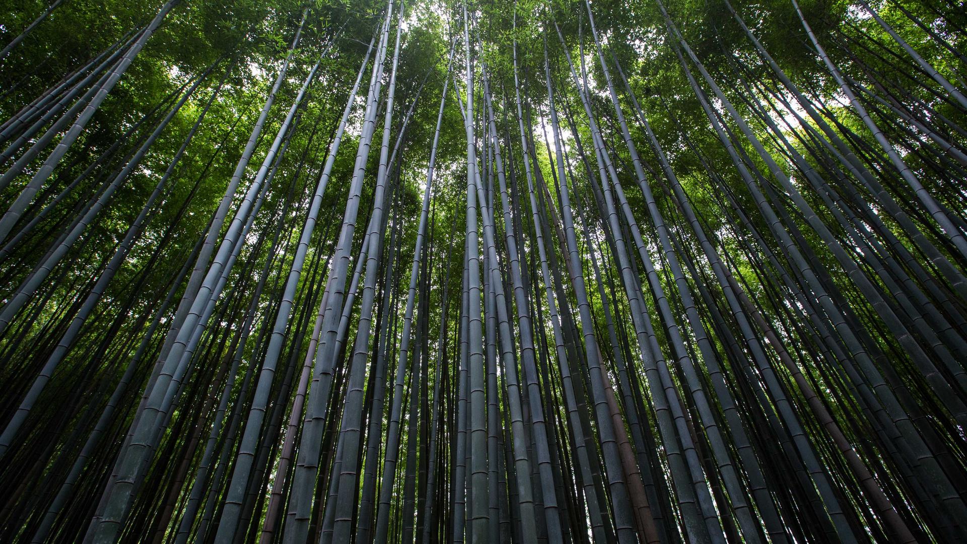 横屏壁纸 - 横屏高清手机壁纸
