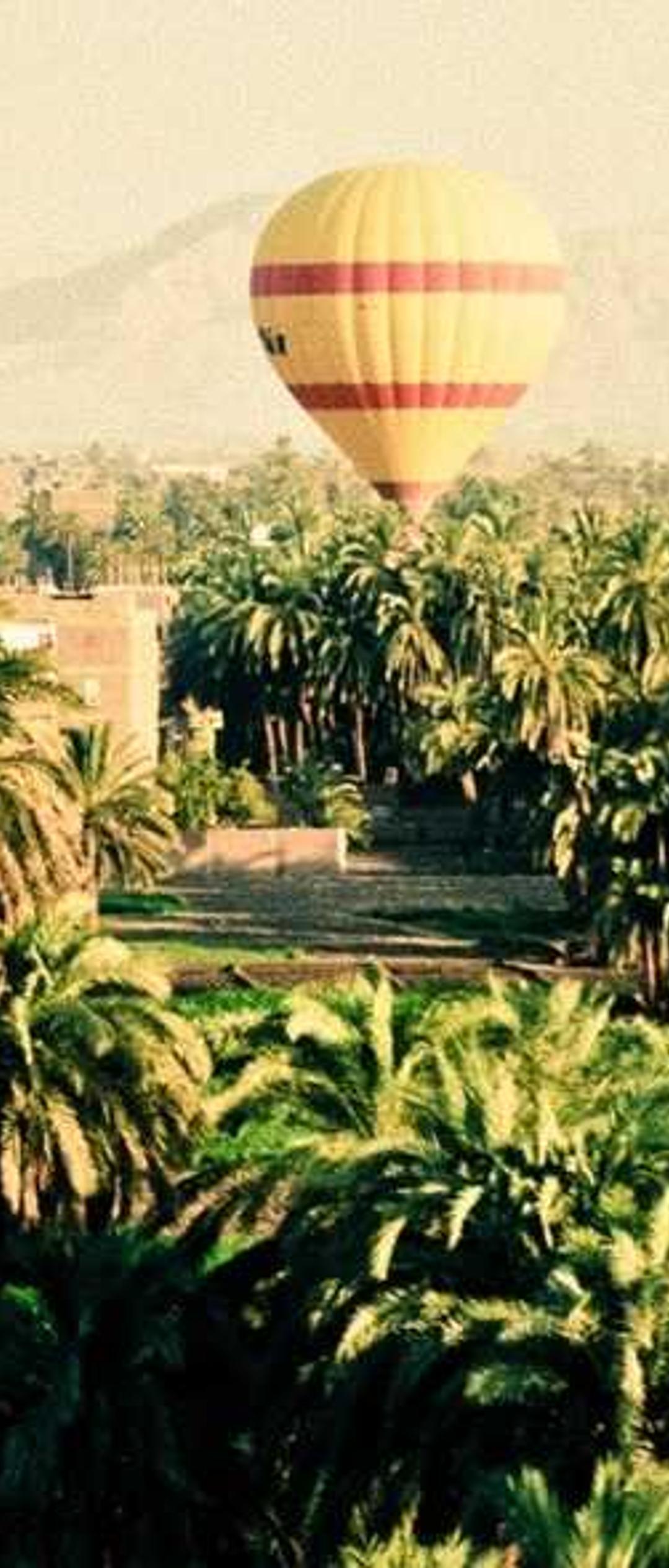 动物壁纸 - 动物高清手机壁纸