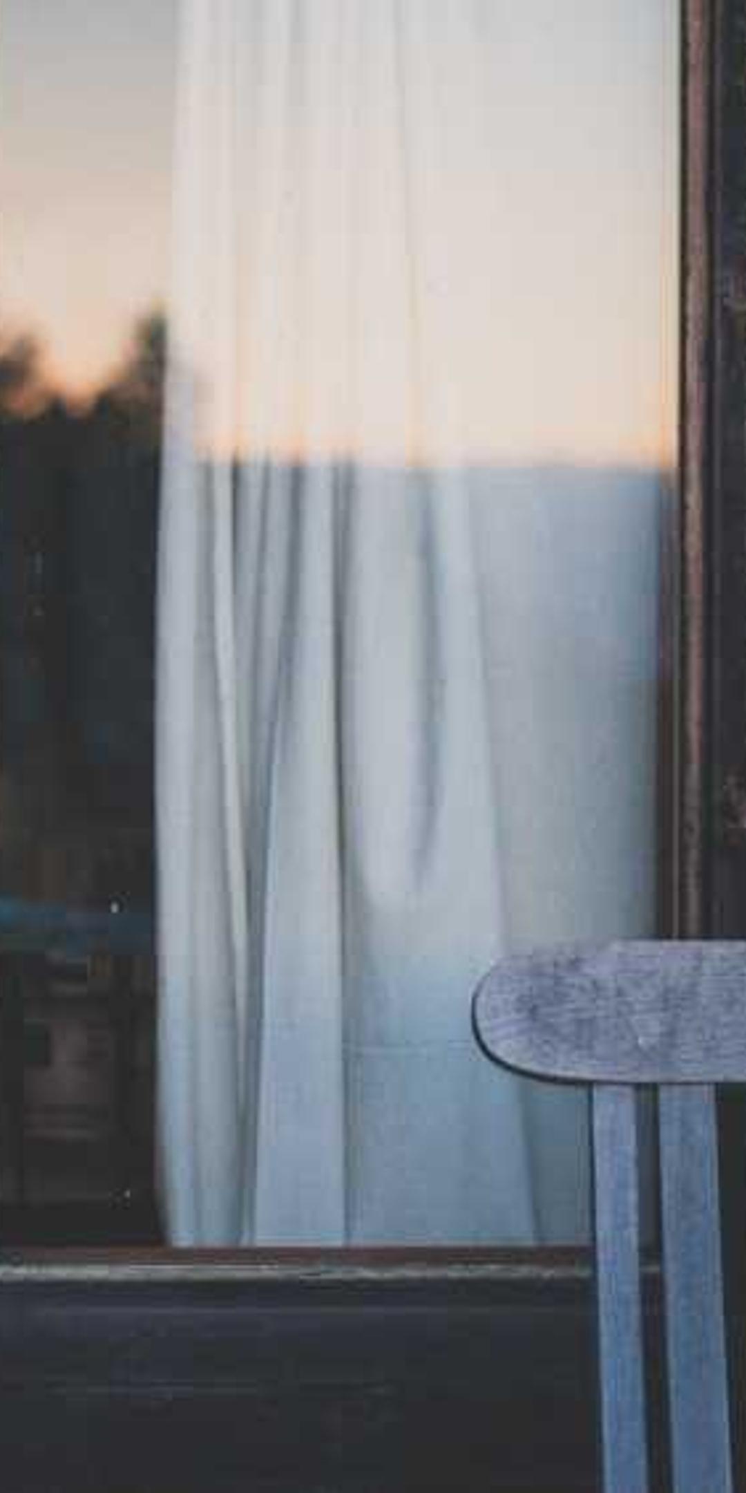 花卉壁纸 - 花卉高清手机壁纸