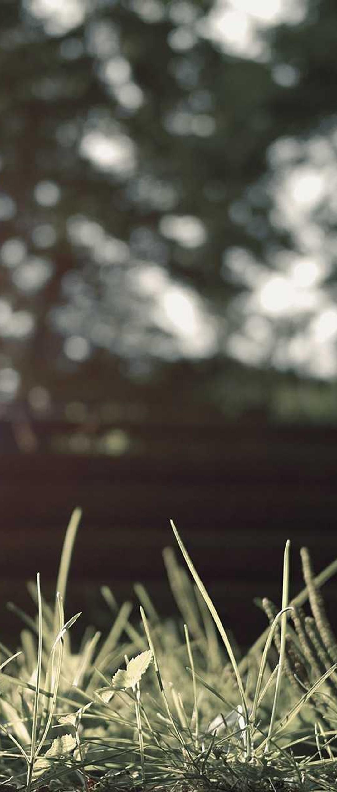 渐变壁纸 - 渐变高清手机壁纸