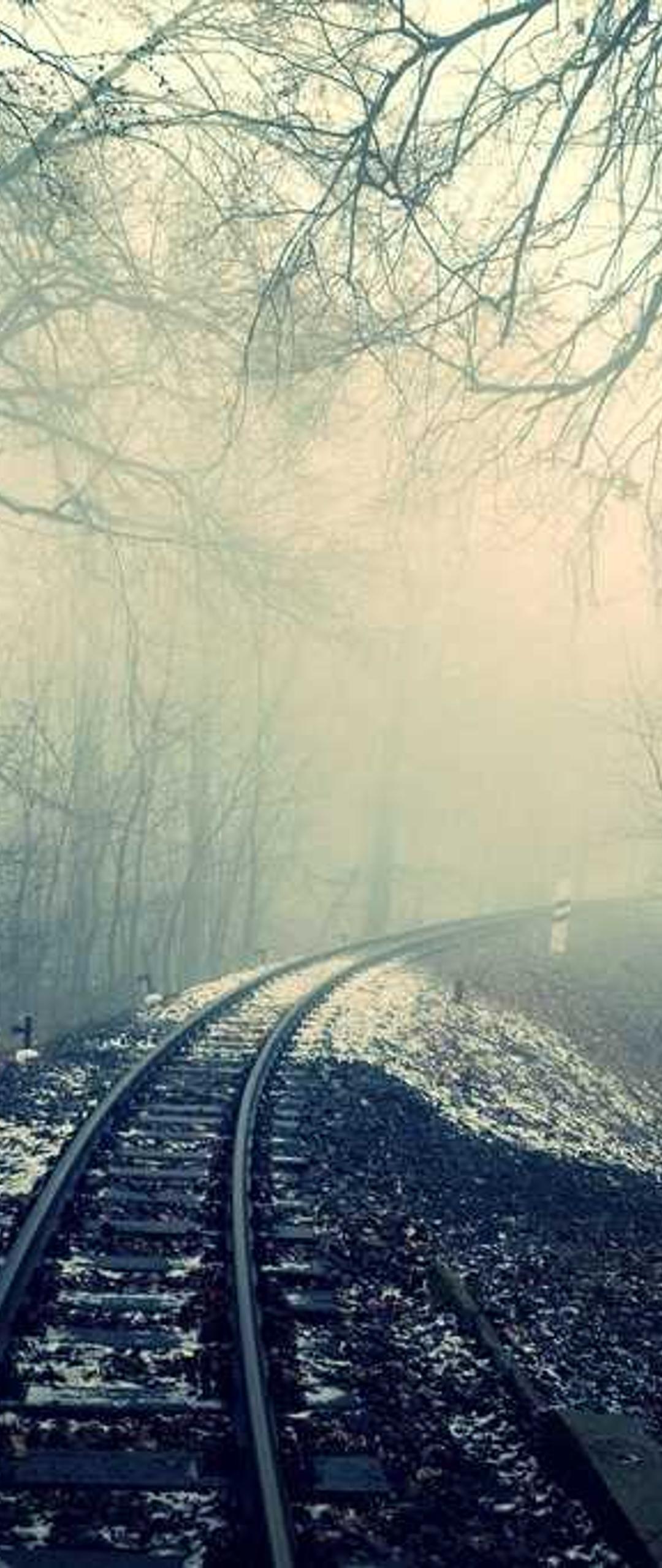 美食壁纸 - 美食高清手机壁纸