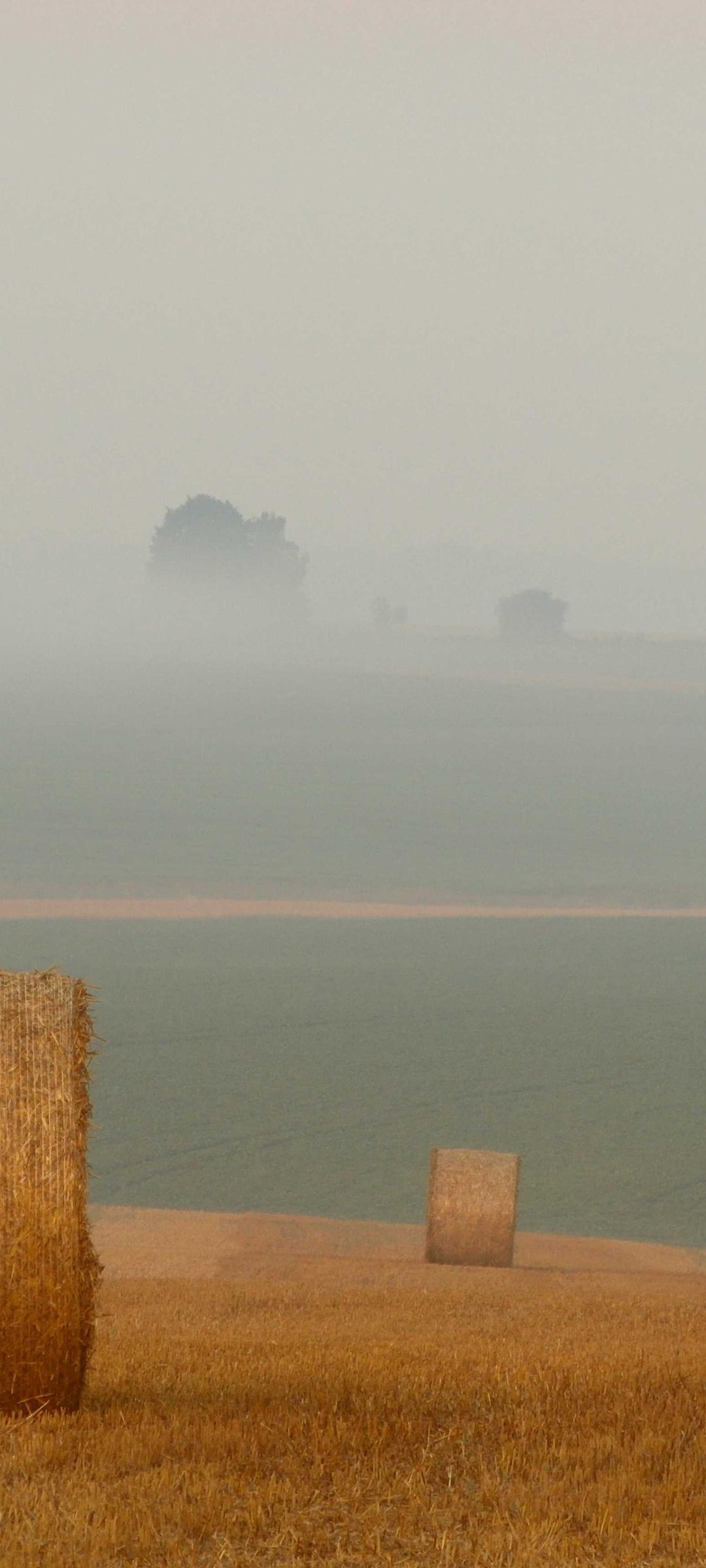 玄学壁纸 - 国学高清手机壁纸