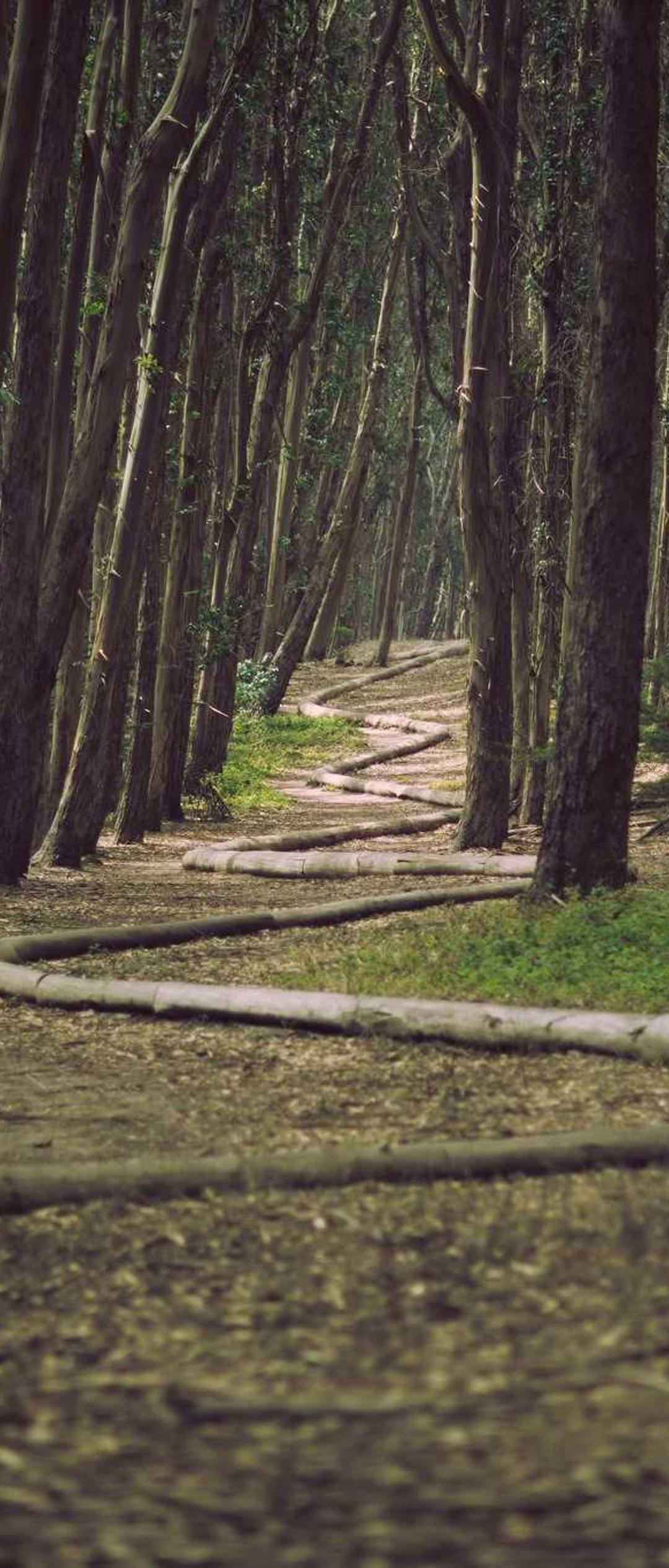 极简壁纸 - 极简高清手机壁纸