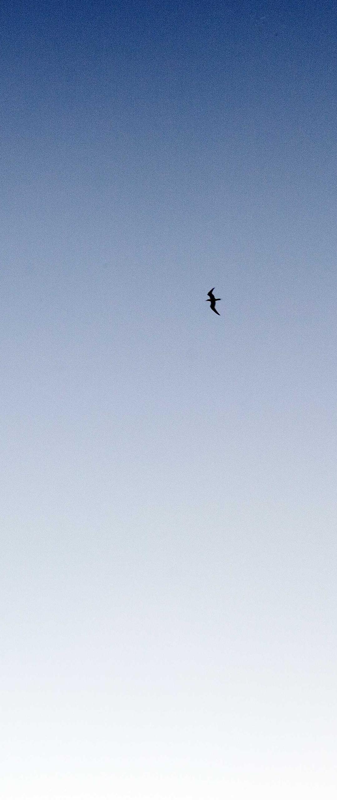 星空壁纸 - 星空高清手机壁纸