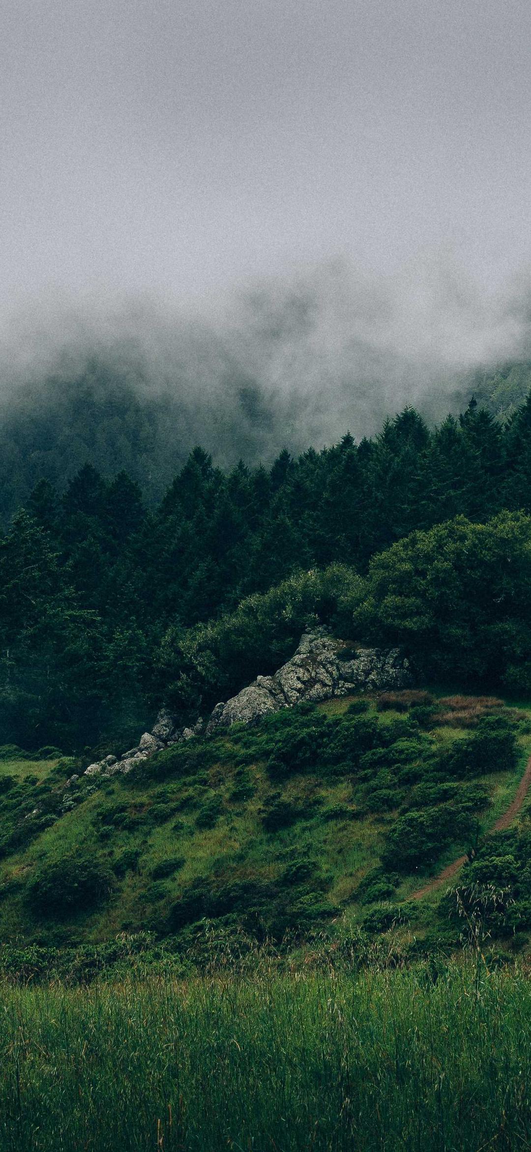 动物壁纸 - 动物高清手机壁纸