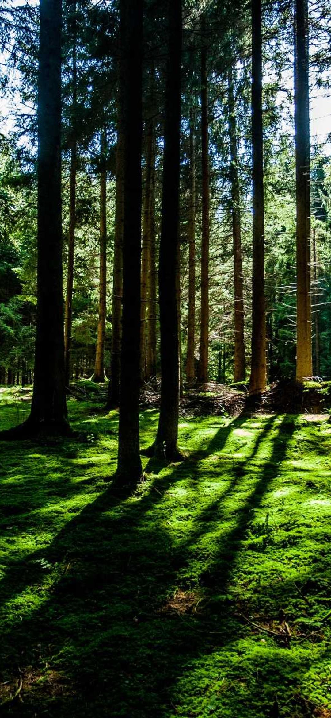 城市壁纸 - 城市高清手机壁纸