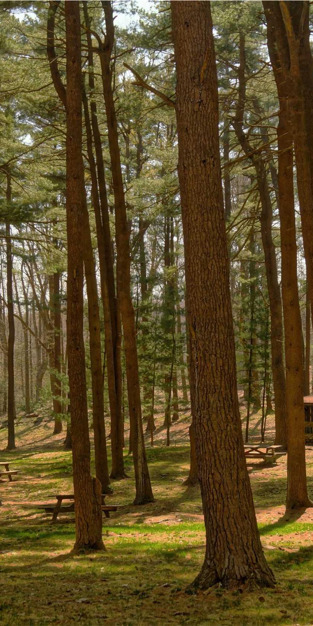 科技壁纸 - 科技高清手机壁纸