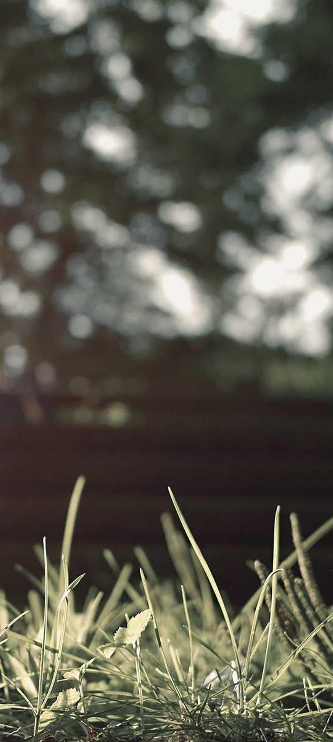 极简壁纸 - 极简高清手机壁纸