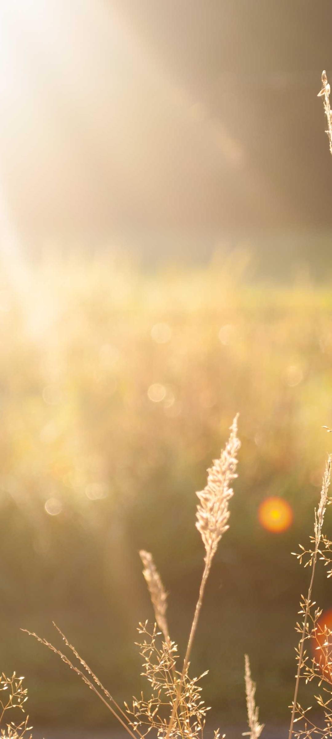 渐变壁纸 - 渐变高清手机壁纸