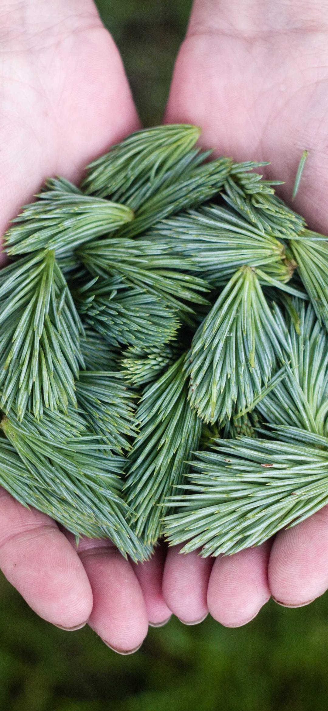 动漫壁纸 - 动漫高清手机壁纸