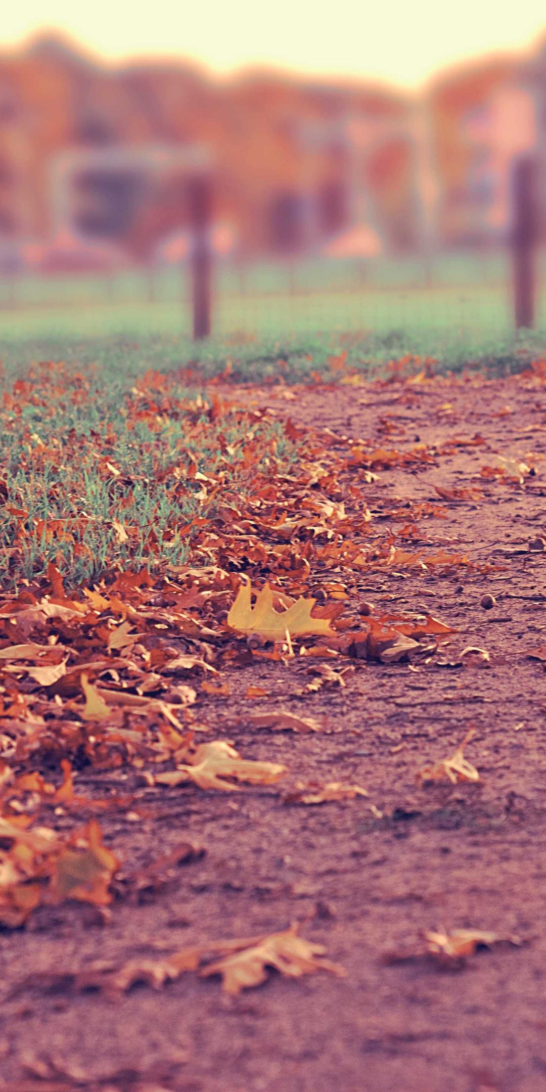玄学壁纸 - 国学高清手机壁纸