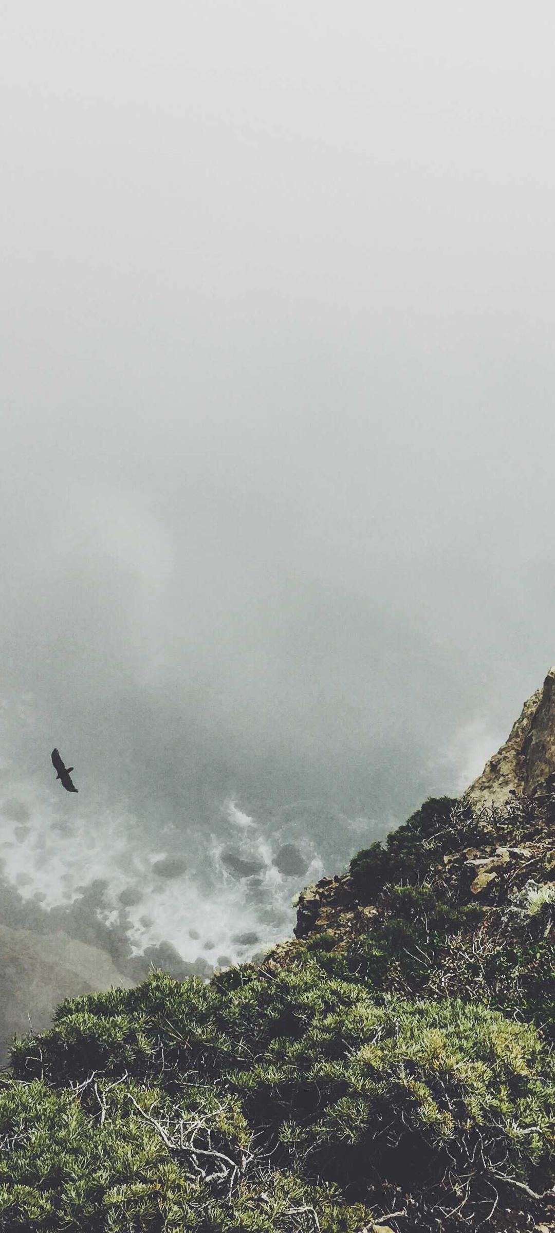 美食壁纸 - 美食高清手机壁纸