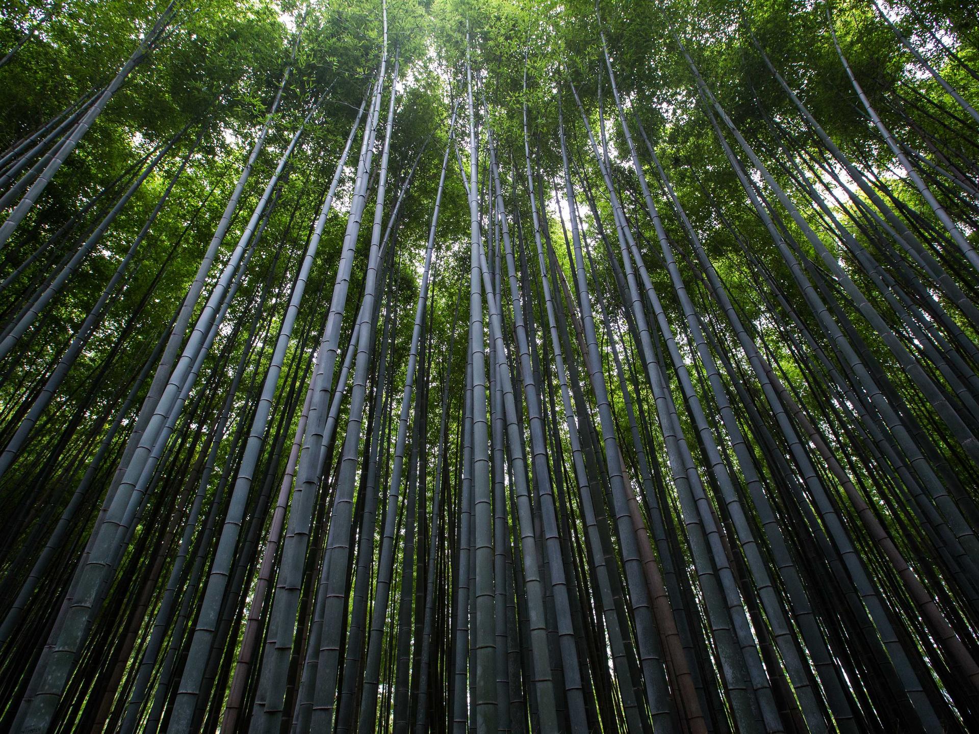 横屏壁纸 - 横屏高清手机壁纸
