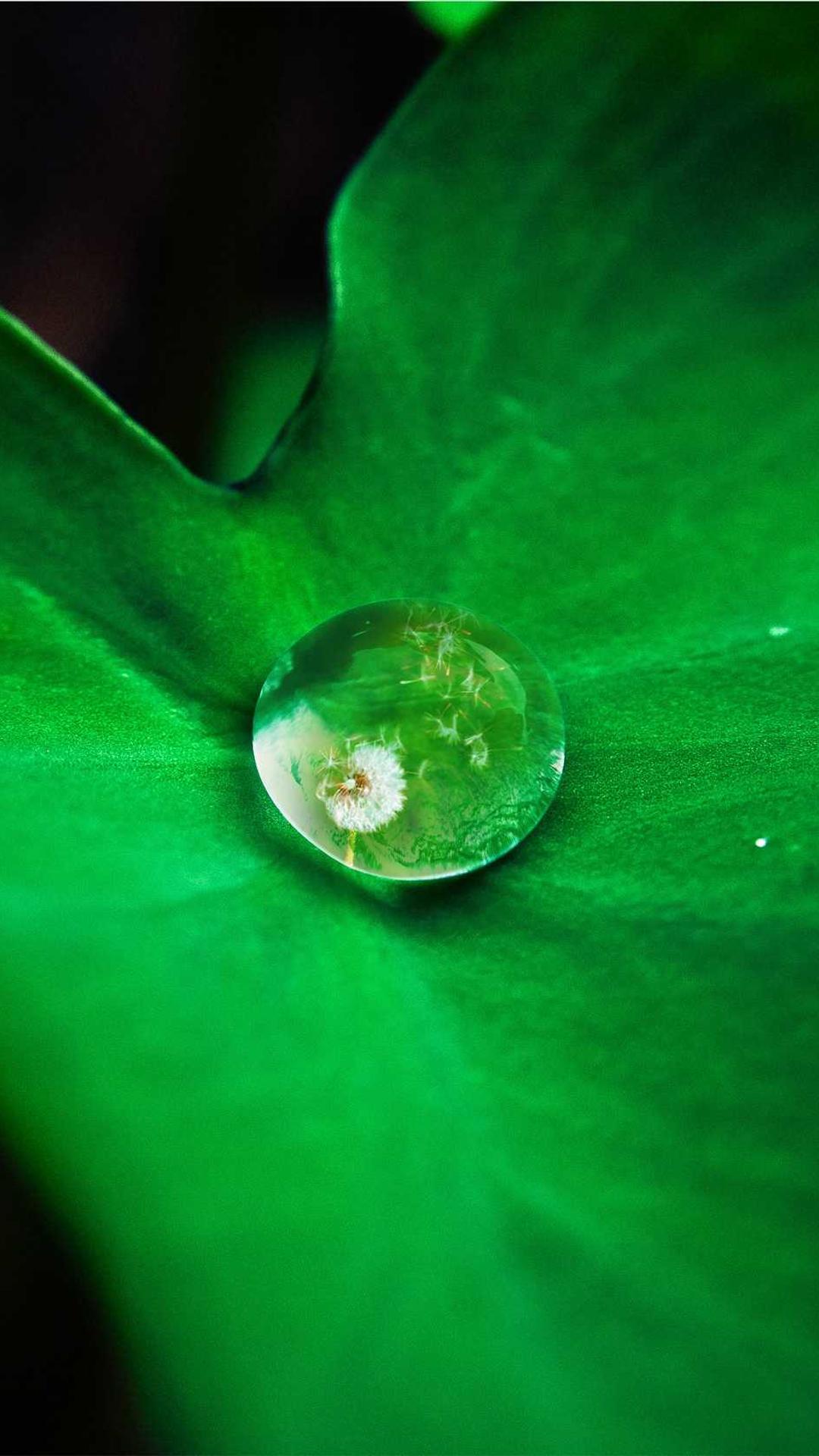 风景壁纸 - 风景高清手机壁纸