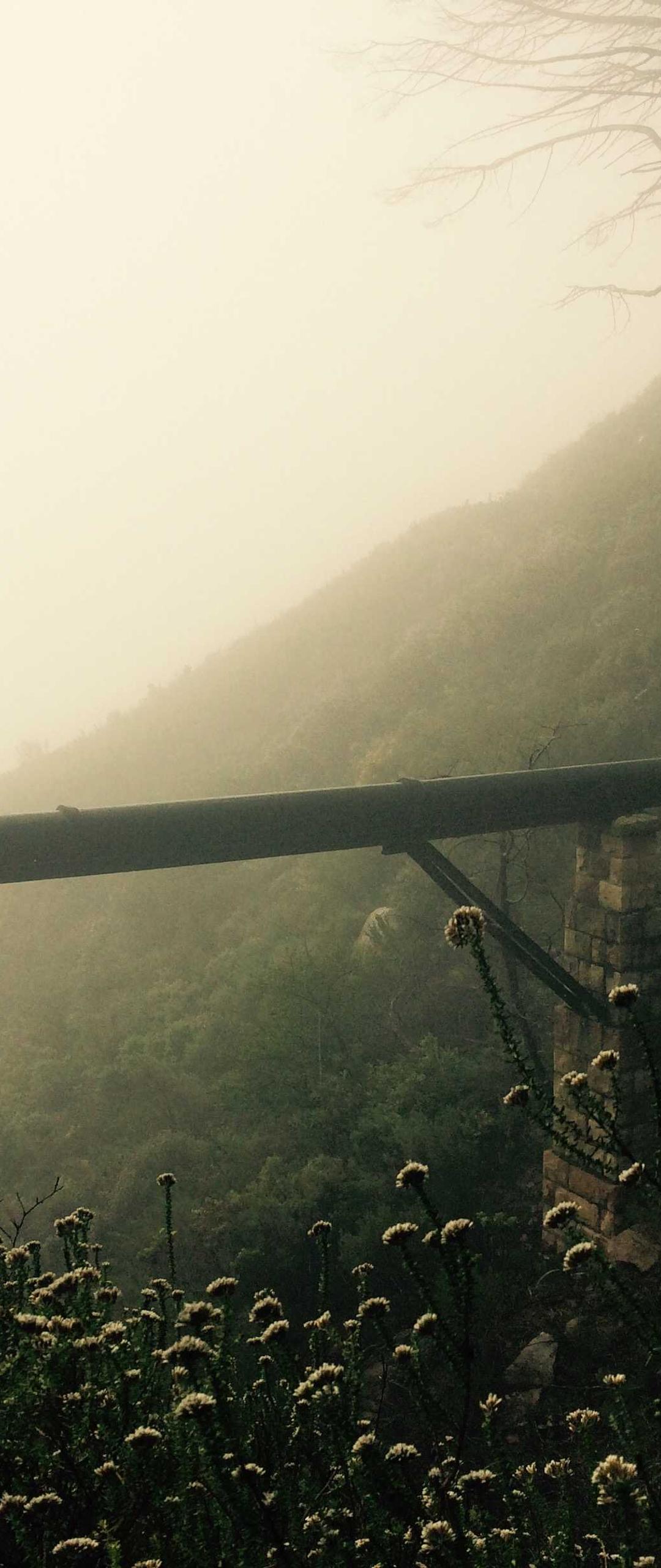 动物壁纸 - 动物高清手机壁纸