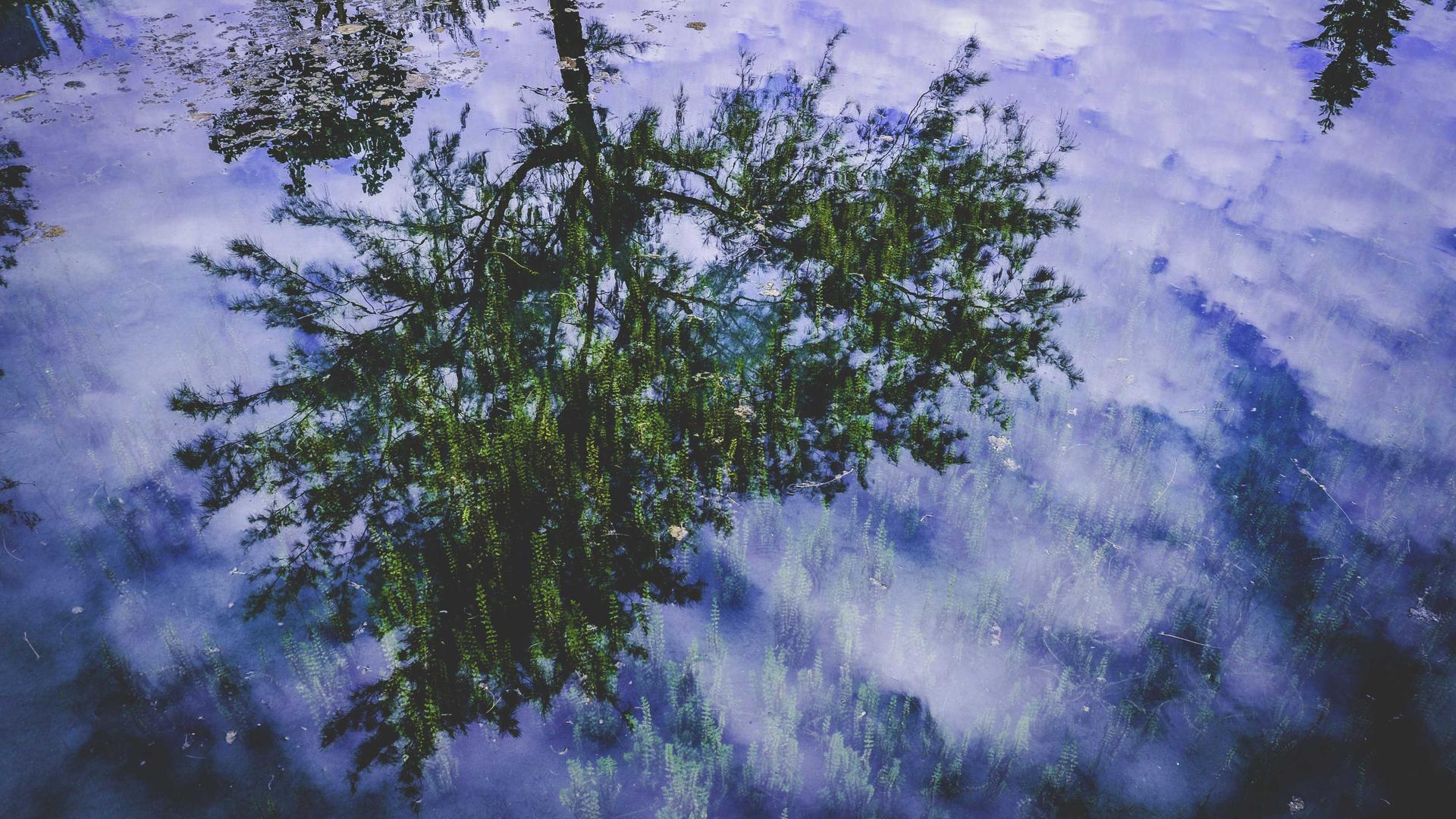 横屏壁纸 - 横屏高清手机壁纸