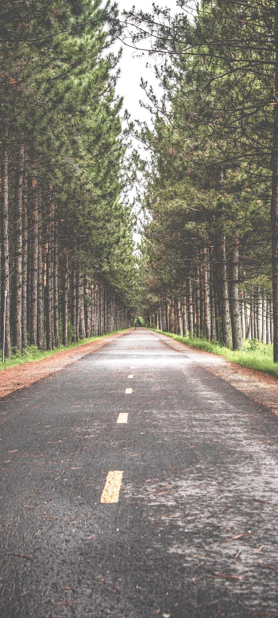 动漫壁纸 - 动漫高清手机壁纸