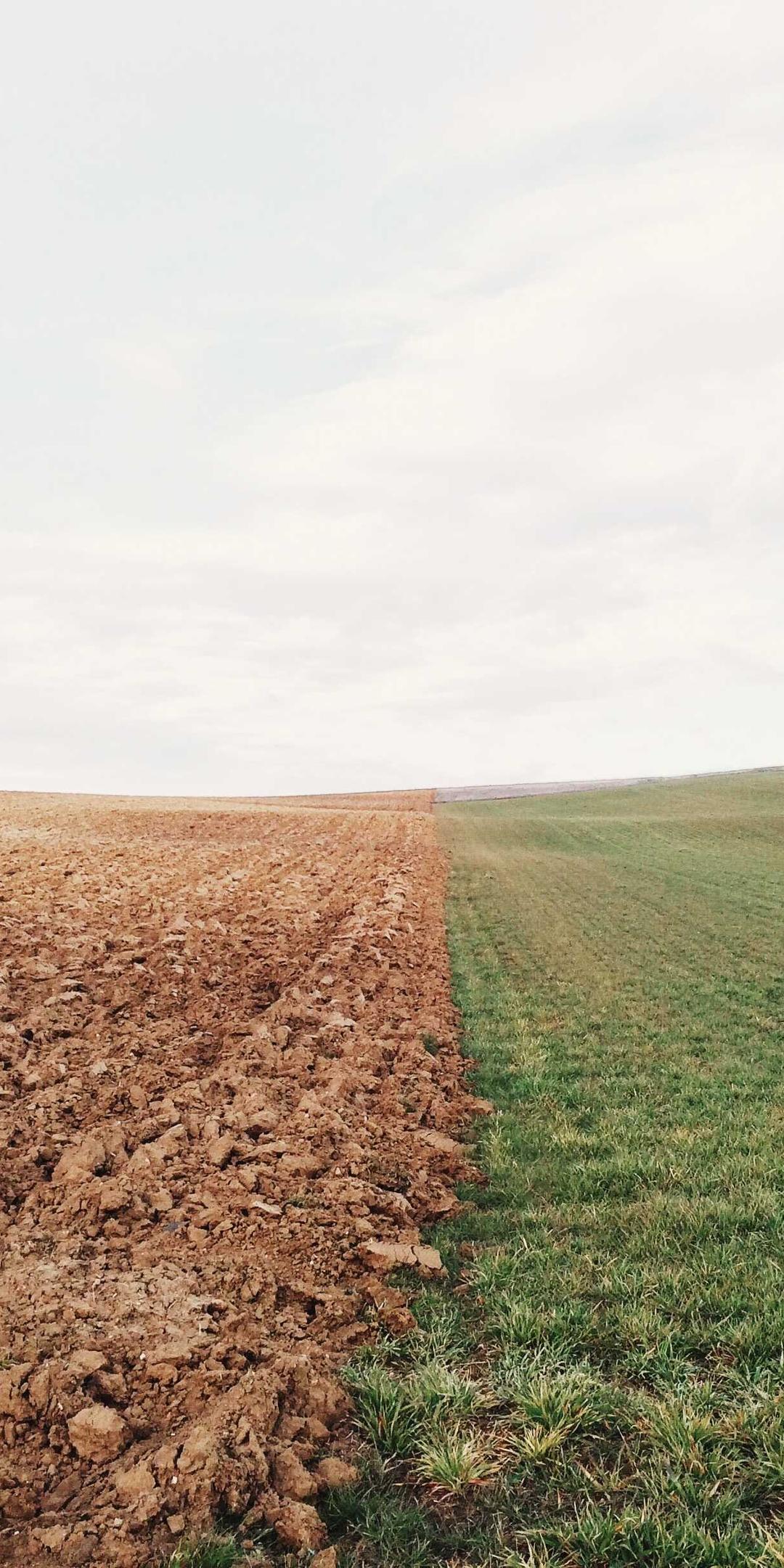 玄学壁纸 - 玄学高清手机壁纸