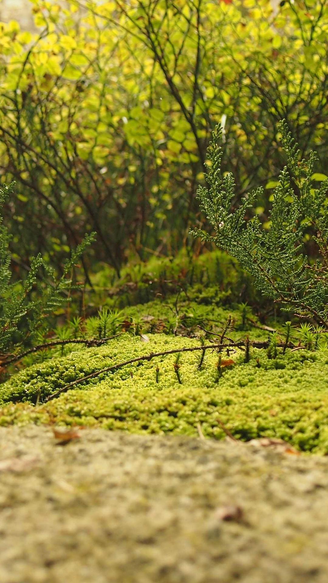 城市壁纸 - 城市高清手机壁纸