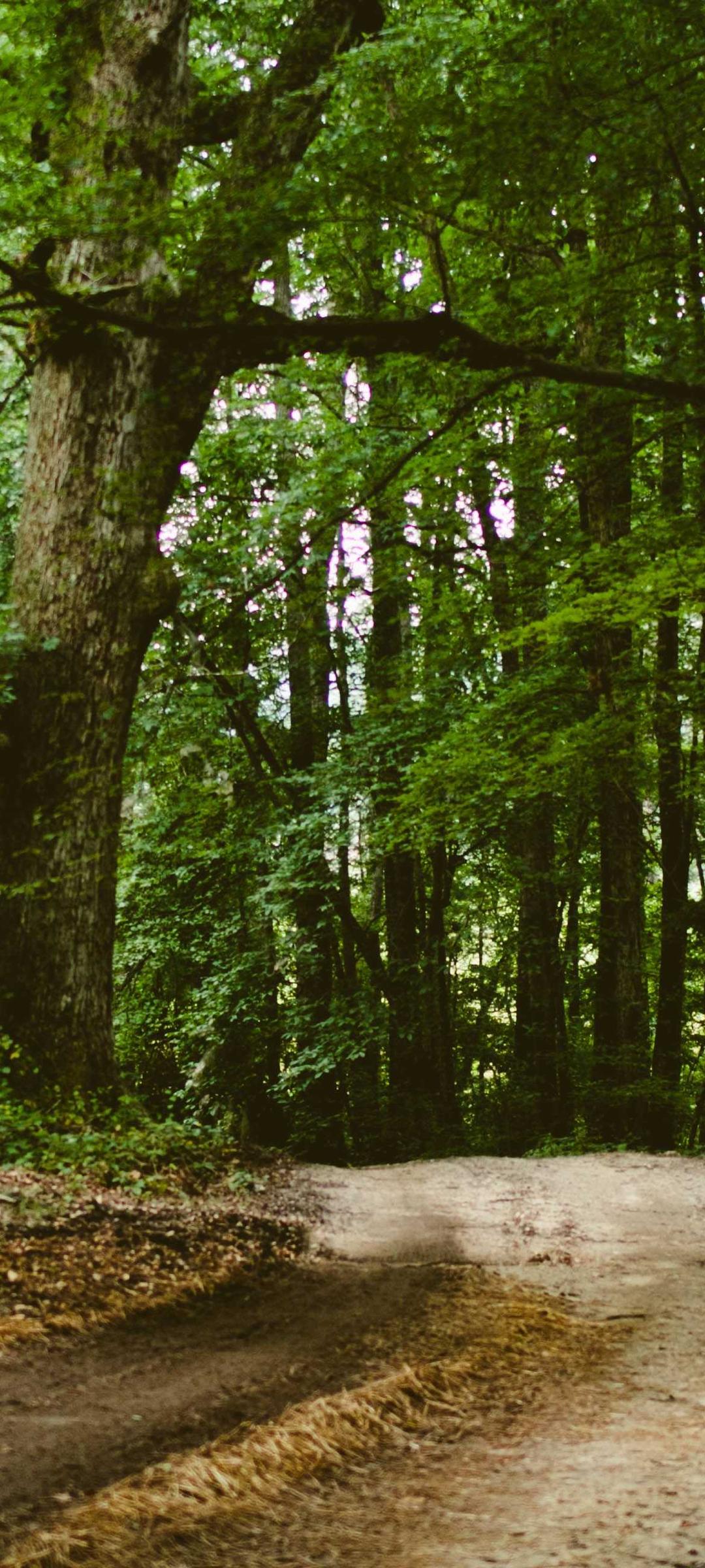 极简壁纸 - 极简高清手机壁纸