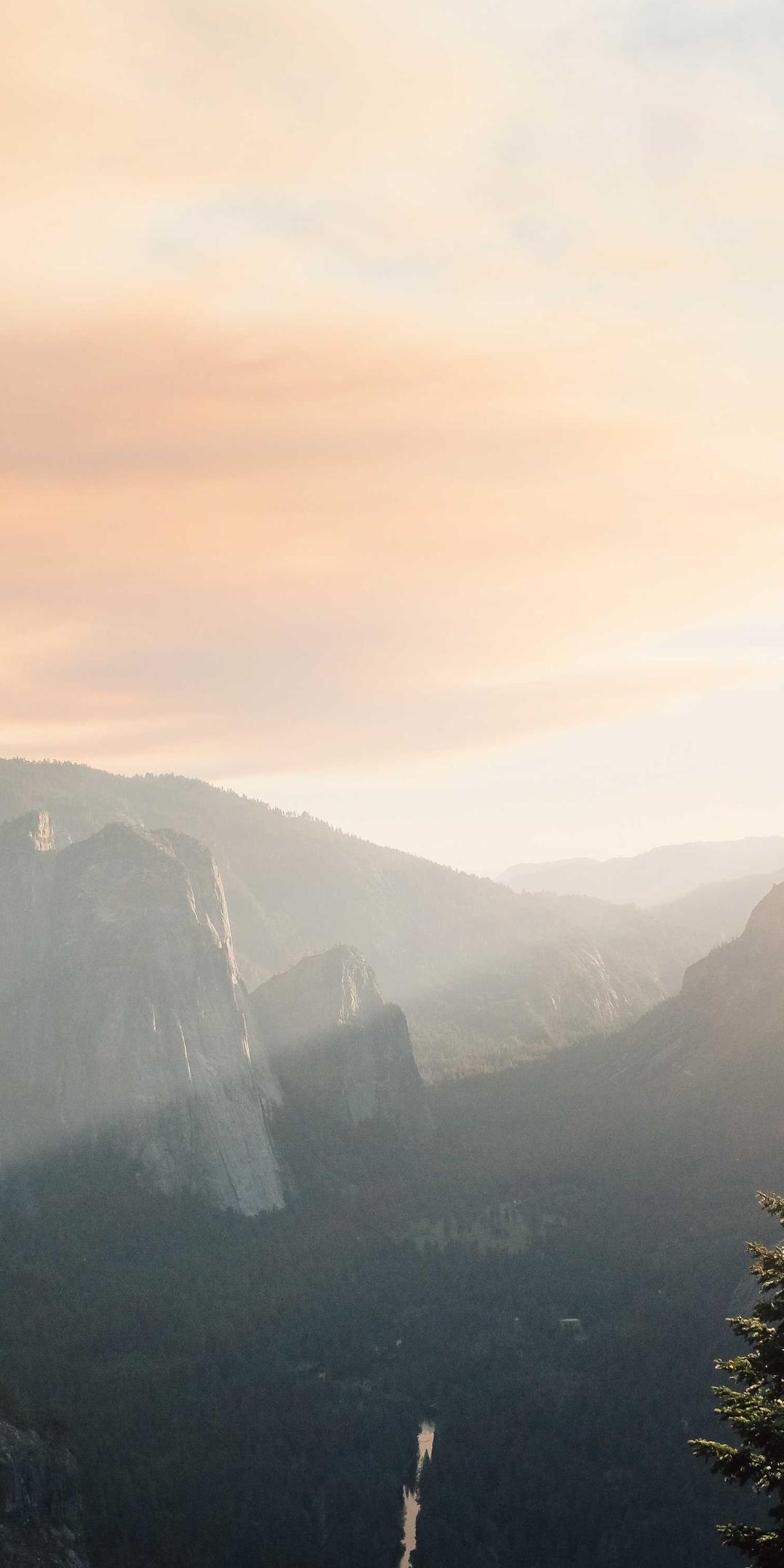 动物壁纸 - 动物高清手机壁纸