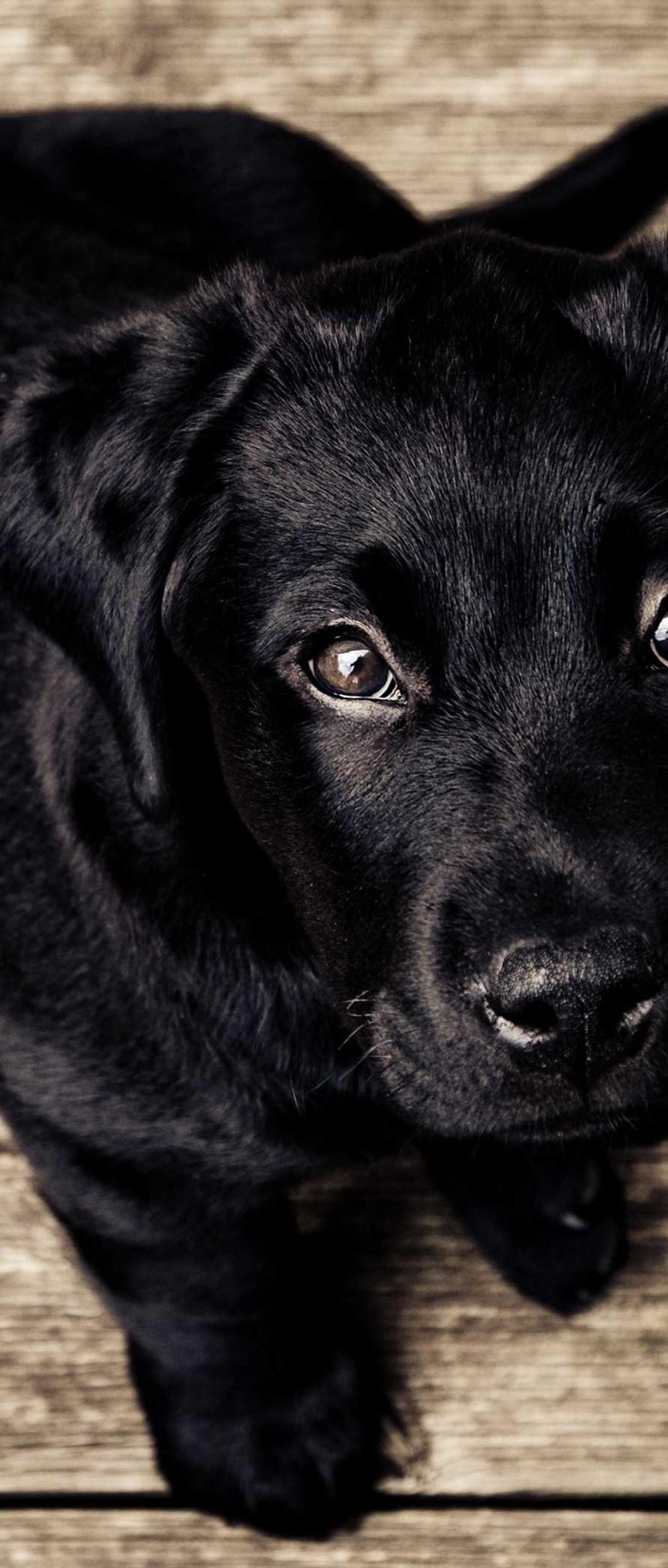 极简壁纸 - 极简高清手机壁纸