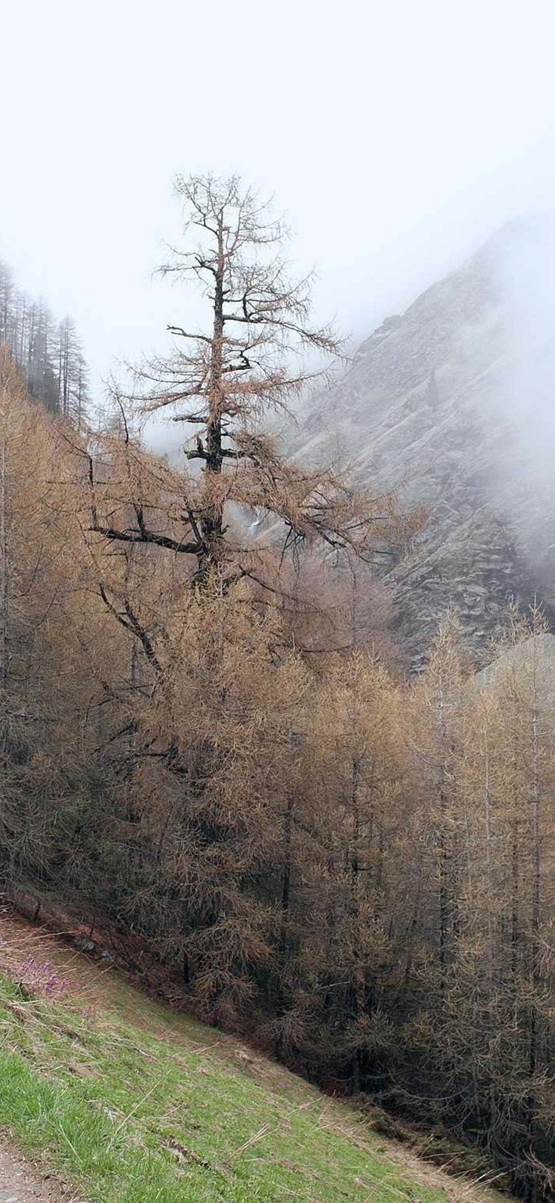 极简壁纸 - 极简高清手机壁纸