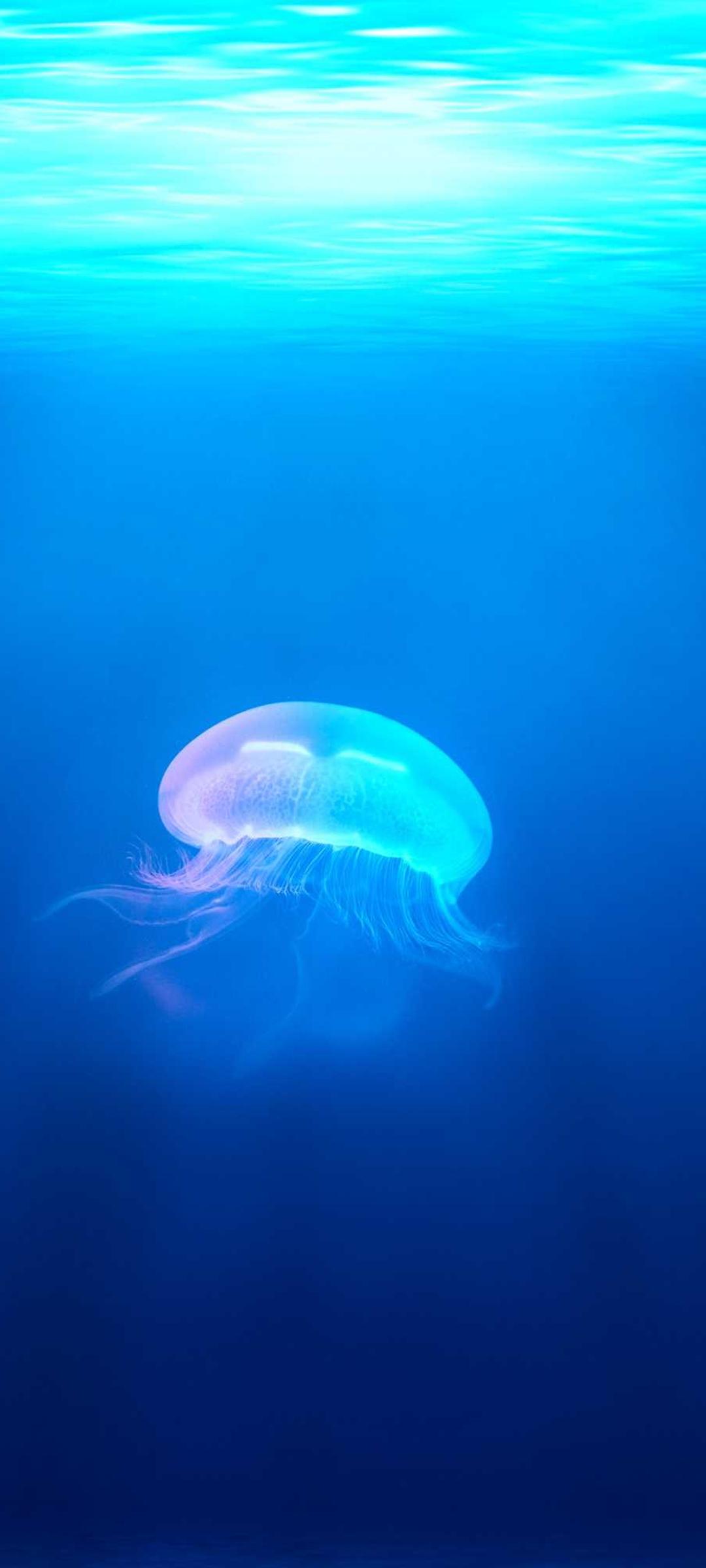 渐变壁纸 - 渐变高清手机壁纸