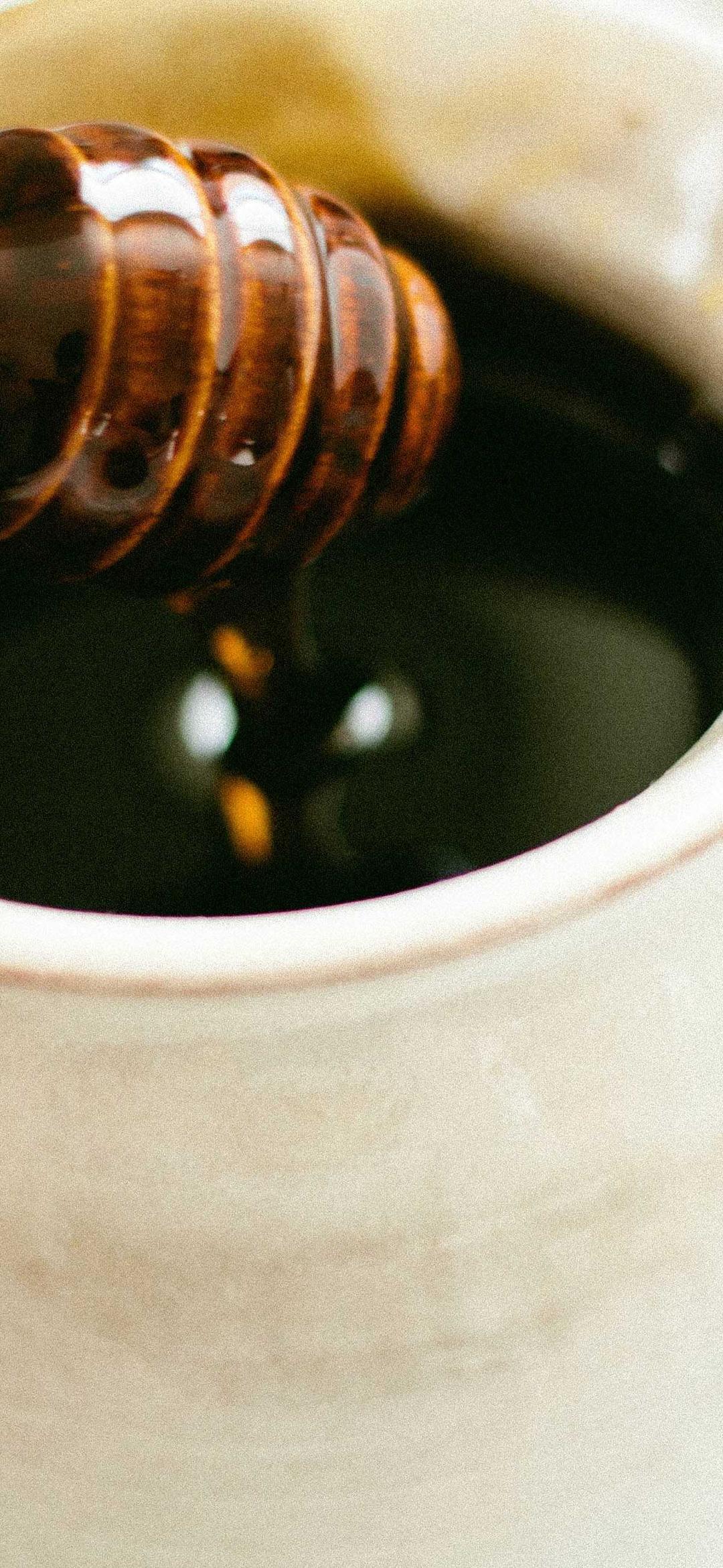 动物壁纸 - 动物高清手机壁纸