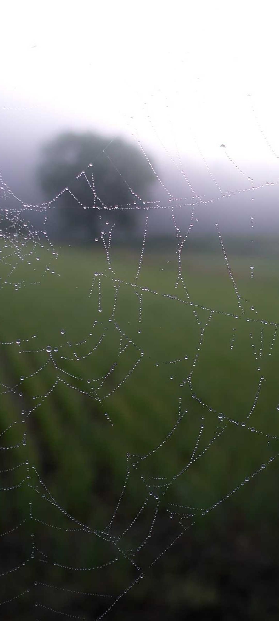 暗黑壁纸 - 暗黑高清手机壁纸