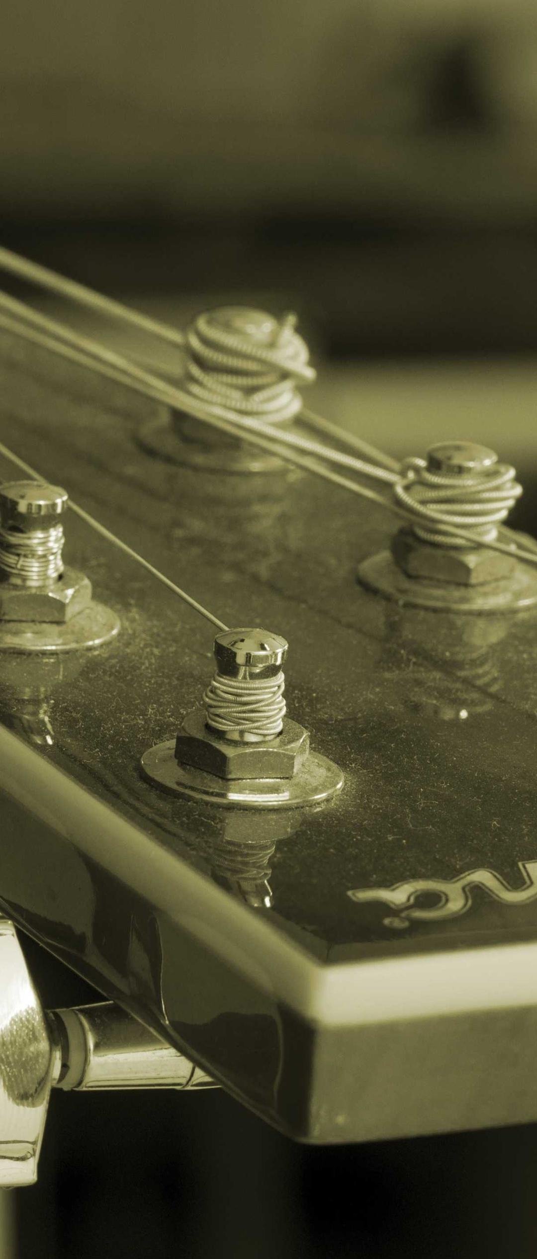 动物壁纸 - 动物高清手机壁纸