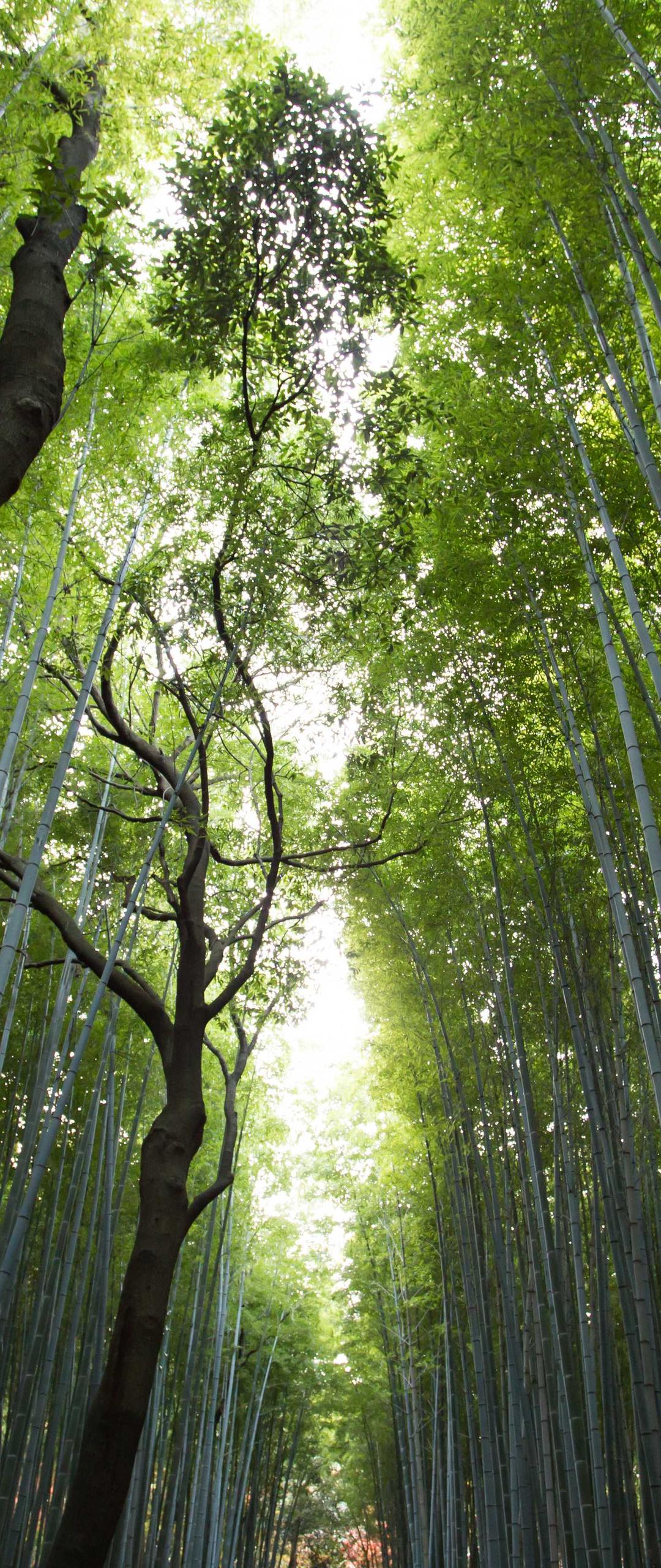 风景壁纸 - 风景高清手机壁纸